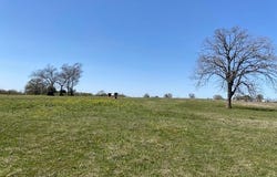 Tbd Pleasant Grove Road, Iola, TX 77861