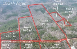 155+/- Acres County Road 313, Wedowee, AL 36278