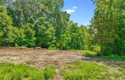 Lot 3 - 3 acres of 16106 Boundary Line  RD, Garfield, AR 72732