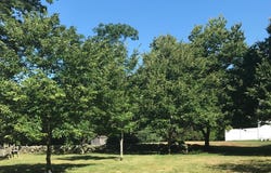 Fairfield, CT 06824
