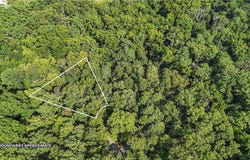 Hurlford  LN, Bella Vista, AR 72715