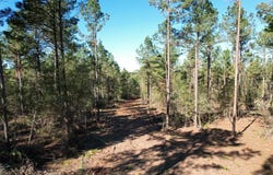 Tbd-a Hwy 84, Mount Enterprise, TX 75681