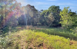 385 Risher Road, Carthage, MS 39051