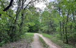 9550 Rocky Point Rd, COOKEVILLE, TN 38506