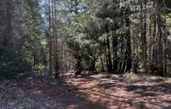 Caves Highway, Cave Junction, OR 97523