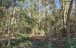 Nhn Hoda Road, Kiln, MS 39556