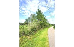 LEE Road lot: 1-A, Franklinton, LA 70438