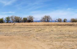 15288 Ypsilon Cir, Mead, CO 80542