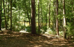 000 Highline Dr.,, Zwolle, LA 71486