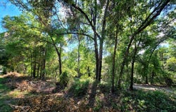 162 PUTNAM LOOP ROAD, MELROSE, FL 32666