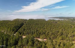 Sandy Point Road lot: 7, Sladesville, NC 27875