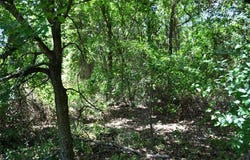 0 County Road, Eustace, TX 75124