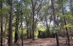 11473 S Fraser Street, Georgetown, SC 29440