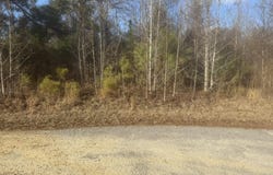 Flake Road, Orangeburg, SC 29115