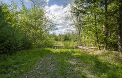 56 Burnham Road, Limerick, ME 04048