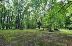 5462 Oak, Farwell, MI 48622