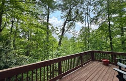 275  Teaberry Rd, Newland, NC 28657