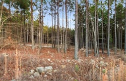 594 Timbuktu Trail, Broken Bow, OK 74728