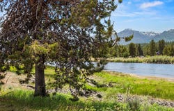 L9 B1 River Bank Drive, Cascade, ID 83611