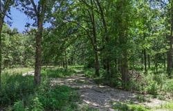 20476 E 1700 Road, Fair Play, MO 65649