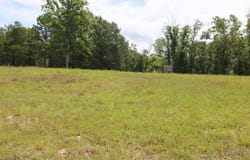 6060 State Route W W, Peace Valley, MO 65788