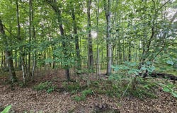 lOT 6 Jose Lake Drive, South Branch, MI 48761