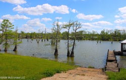 Bungalow Lane, Tchula, MS 39169