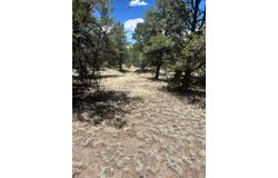 XX Campfire, Datil, NM 87821