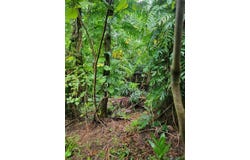 Lot 189-1NEW-3, Hagat, GU 96915