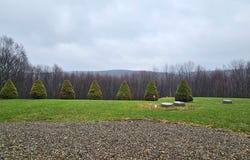 1127 Crystal Springs Road, Tionesta, PA 16353