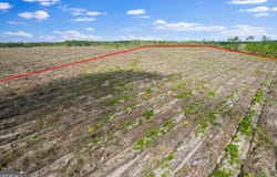 Tract 3 Morris Break, Odum, GA 31555