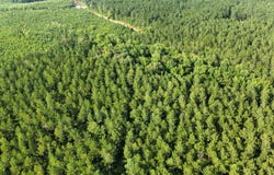 1971 CR 266, Lanett, AL 36863