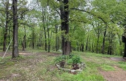 16580 State Route AA, Newburg, MO 65550