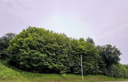 5757 St Hwy 7*, Oneonta, NY 13820