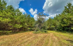 0 Moonlight Road, Jones, AL 36749