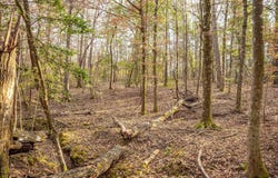 0 HWY 33, Gloster, MS 39638