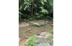 0 Stinking Creek Hwy 718, Flat Lick, KY 40935
