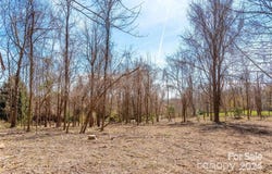 BERRY CREEK Drive, Flat Rock, NC 28731