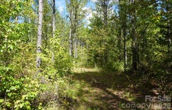 12+/- AC Parson Road, McConnells, SC 29726