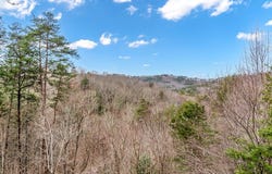3680 Aska Road, Blue Ridge, GA 30513