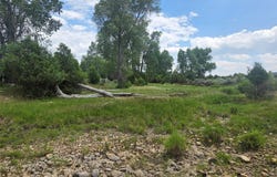 0 Hwy 64, Tierra Amarilla, NM 87575