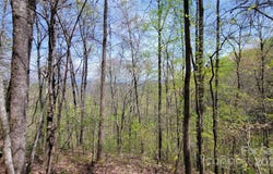 24 Lacy Fern Ridge, Sylva, NC 28779