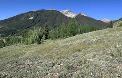 9th Gilman Avenue, Silverton, CO 81433