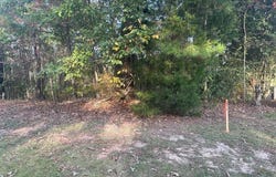 Blue Pine Circle lot: 65, Brookwood, AL 35444