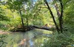22.80+/- acres County Highway 26, Blountsville, AL 35031