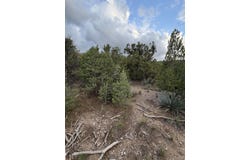 Skyline Ct Tract 6D, Sandia Park, NM 87047