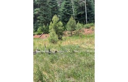 Tbd SPRUCE TRAIL LOT 2, Chama, NM 87520