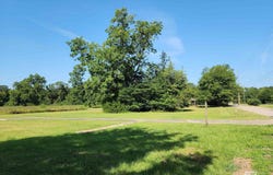 00 McRae Street, Atmore, AL 36502