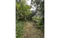 15-2681 N MAIKOIKO ST, Pahoa, HI 96778
