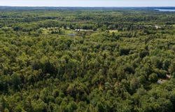 Map 7 Lot 8-1 Cushing Road, Cushing, ME 04563